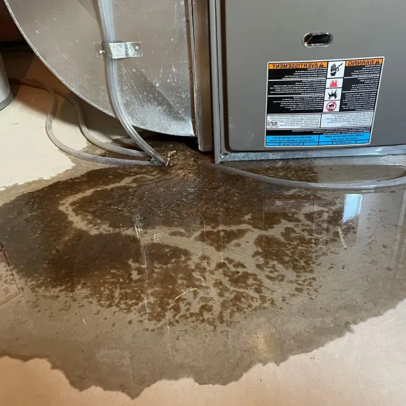 Pipe Burst and Leak Restoration in Park Ridge, NJ